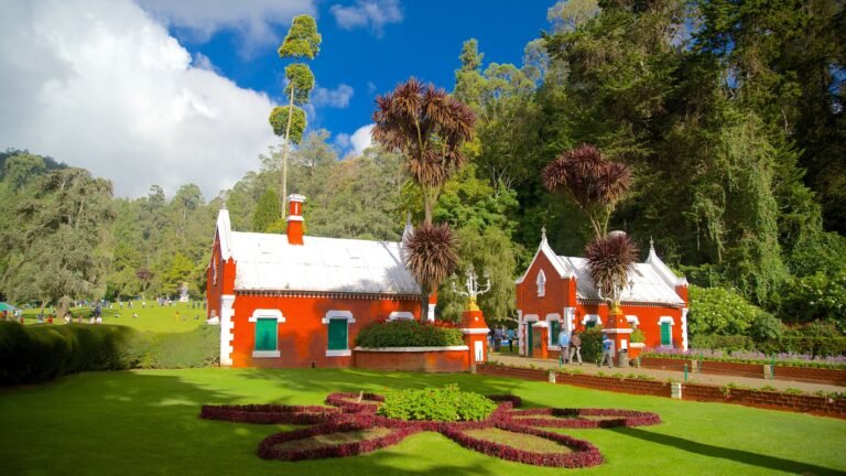 ooty travel hub