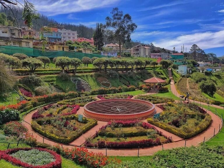 ooty travel hub