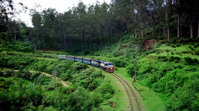 ooty travel hub